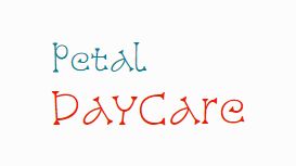 Petal DayCare